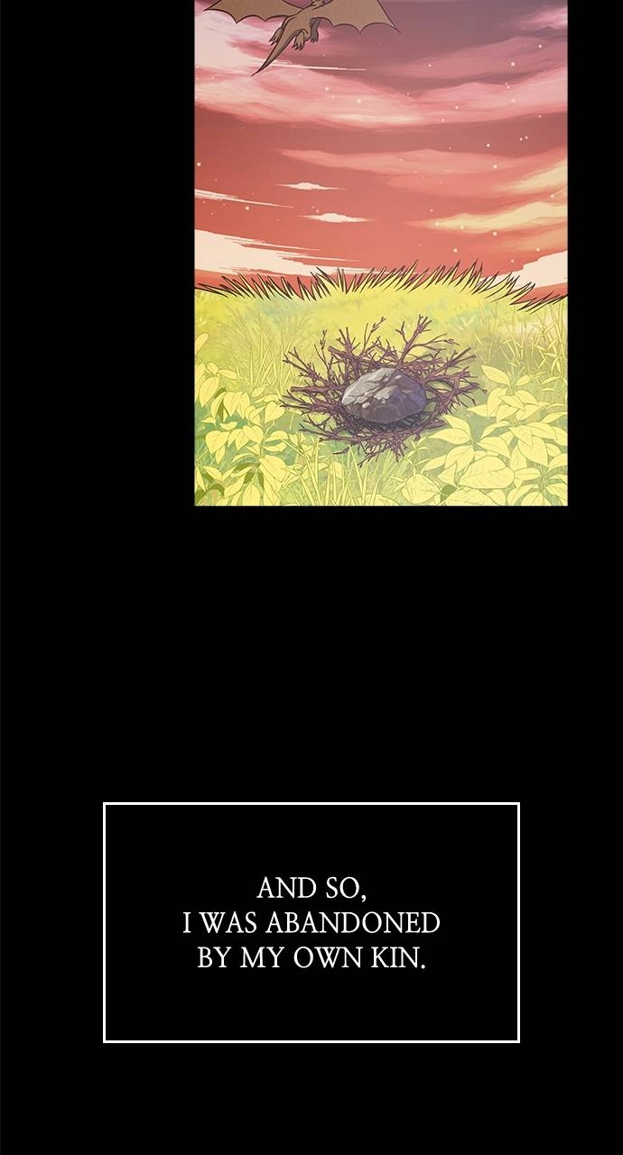 What the Evil Dragon Lives For Chapter 12 Page 12
