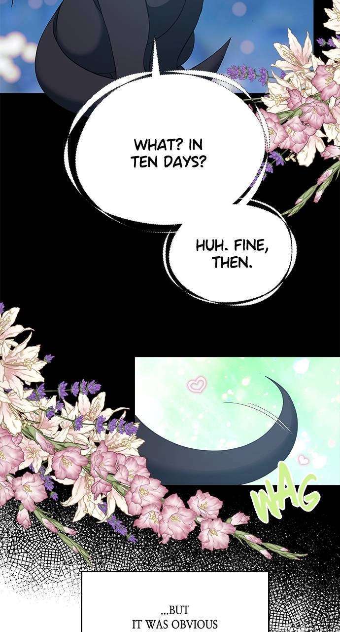 What the Evil Dragon Lives For Chapter 63 Page 72