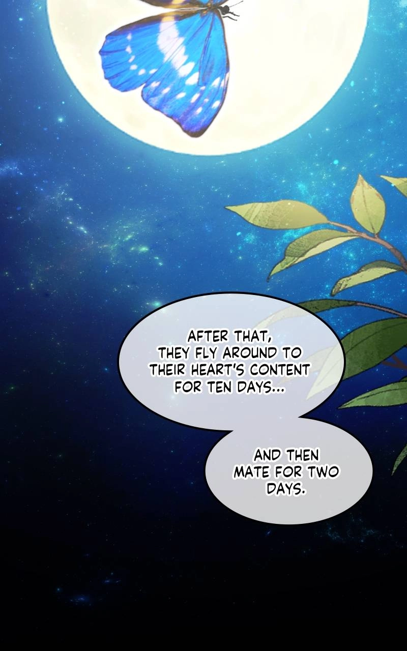 Who Kidnapped the Empress? Chapter 9 Page 12