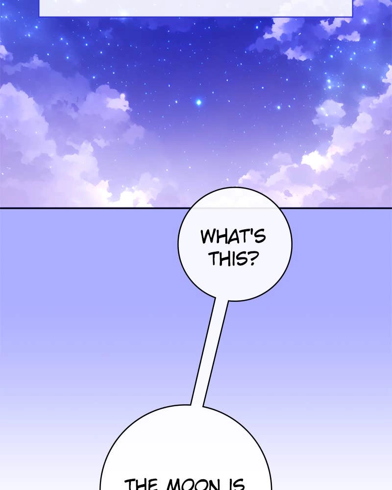 Your Throne Chapter 162 – THE MOST PATHETIC PROFESSION OF LOVE IN THE WORLD Page 15