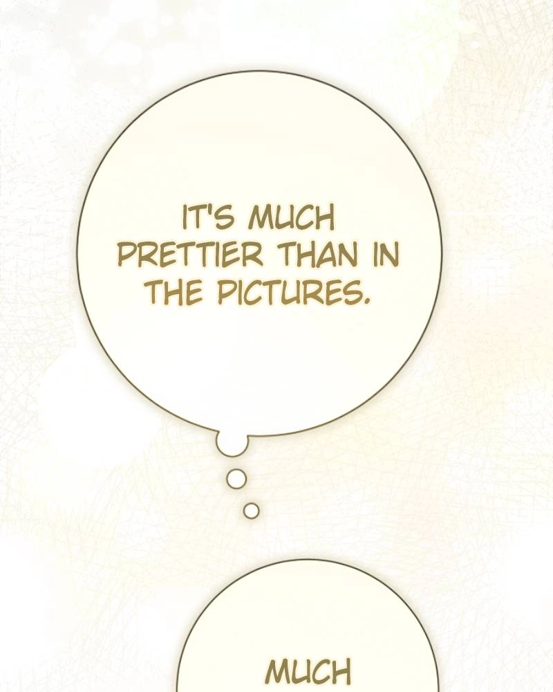 Your Throne Chapter 206 – My Sun (1) Page 217