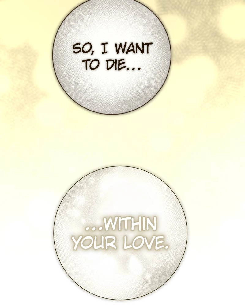 Your Throne Chapter 214 – Let's Fly Out of The Birdcage (Final) Page 142