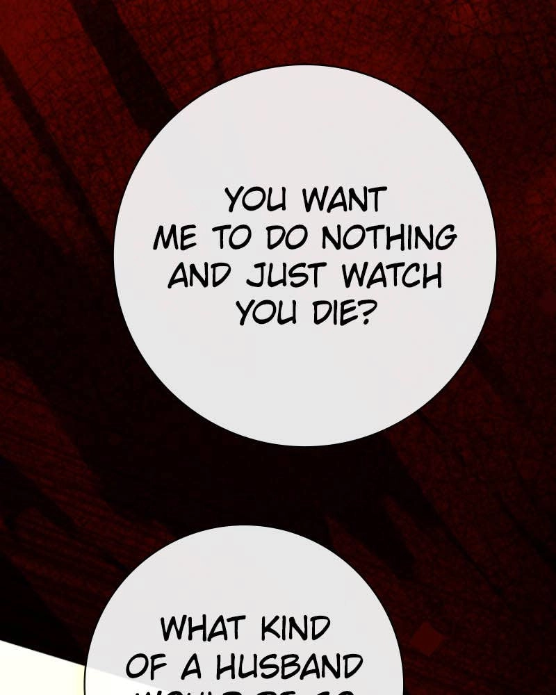 Your Throne Chapter 214 – Let's Fly Out of The Birdcage (Final) Page 165